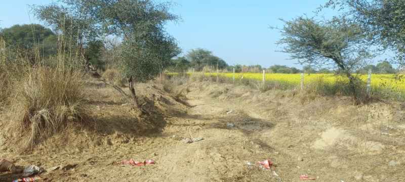 दिल्ली को दहलाने वाली 1013 गांवों की जीवन रेखा साबी नदी फिर संकट में