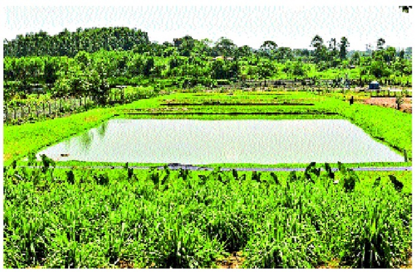 किसानों के लिए वरदान साबित हो रही खेत तलाई योजना