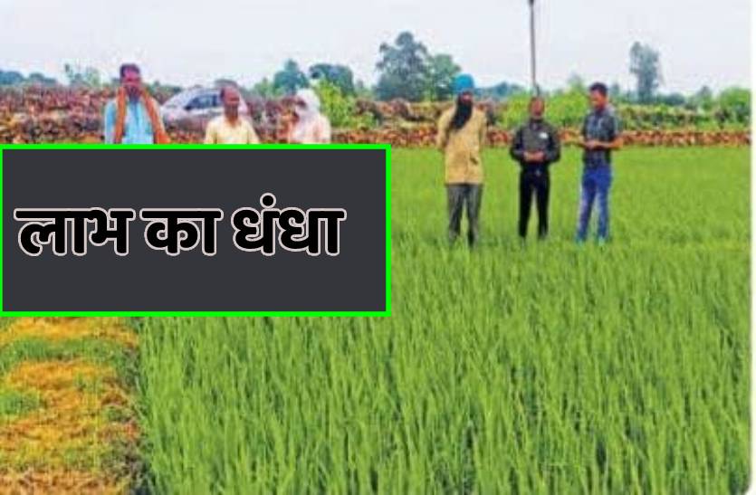 cost of farming is less, profit is more