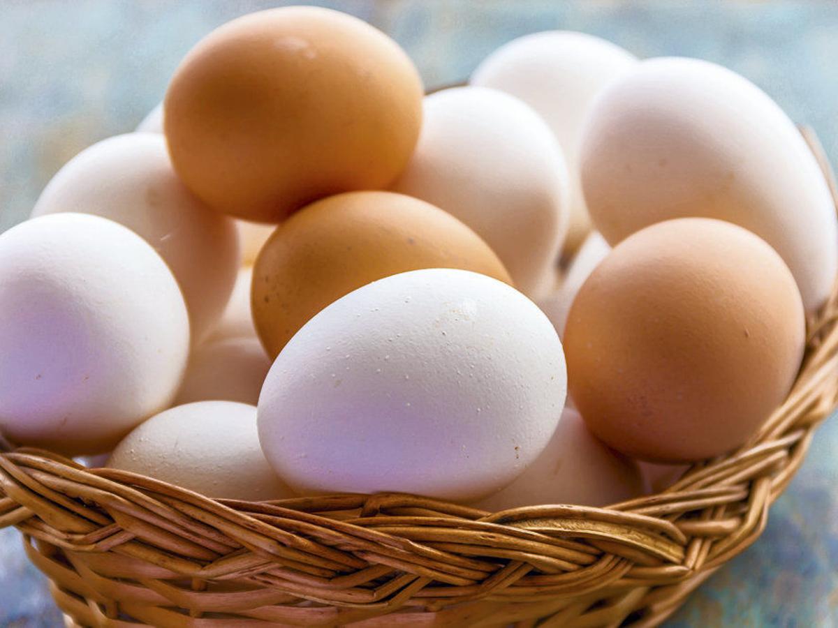 Health Tips: अंडे के साथ कभी न करें इन चीजों की सेवन, वरना सेहत को झेलनी पड़ सकती है कई समस्याएं