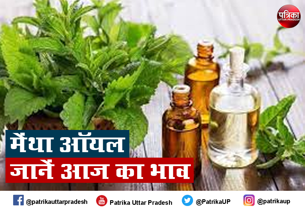 Mentha Oil Rate Mentha Oil Price Today : मेंथा आयल रेट में नहीं रुक रही है गिरावट, जानें आज का Mint Oil Price