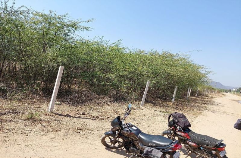 अतिक्रमण से  सिमट रहा वन क्षेत्र का दायरा 