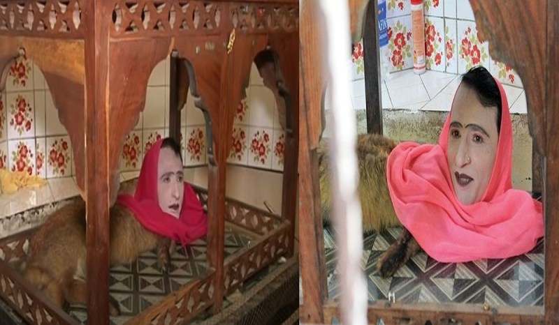 Half-Human And Half-Fox Creature Found In Pakistan
