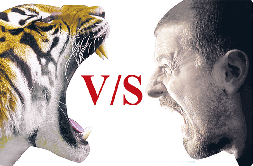 Tiger in bhopal , save tiger, bhopal news 