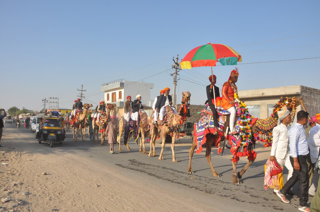 procession by camel यहां अब ऊंट-घोड़ों-हाथी और हेलीकाप्टर से बारात ले जाने की हौड़