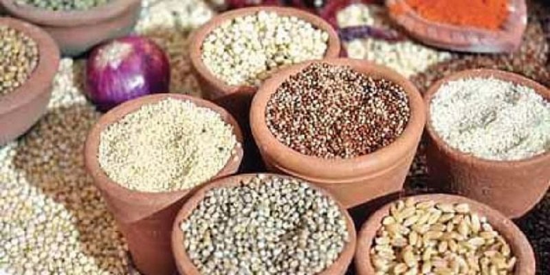 Millets : मोटा अनाज देश में... मोटी कमाई विदेश में?