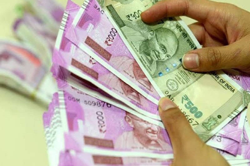 Start pearl farming with 25k and earn rs 3 lakh per month