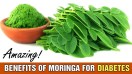 How to Control Diabetes with Moringa