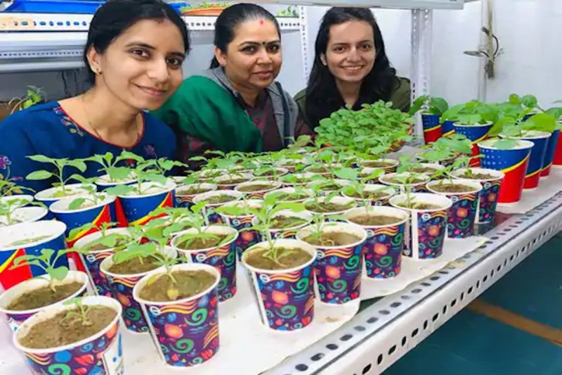 Nano Biotechnoogy Use in BHU For Medicinal Quality of Plants
