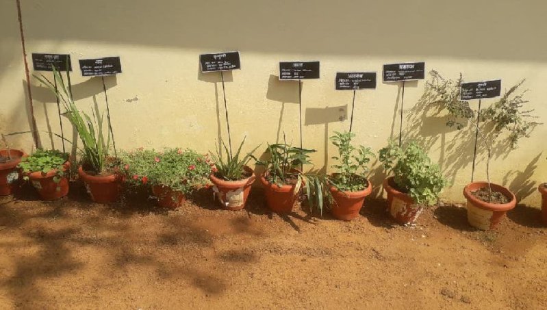 हर्बल गार्डन में रोपे जाएंगे औषधिय पौधे, इन्हीं से होगा मरीजों का इलाज