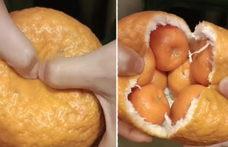 pregnant_orange