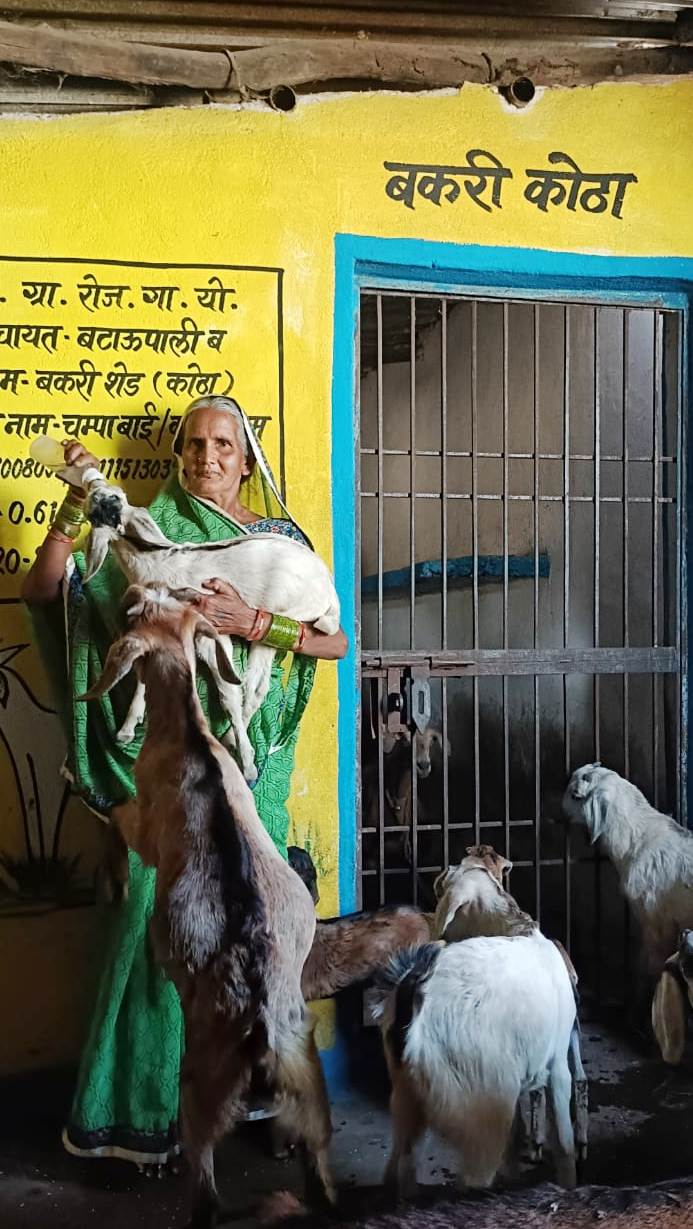 चंपाबाई ने 6 महीने में ही कमाए 89 हजार रूपए