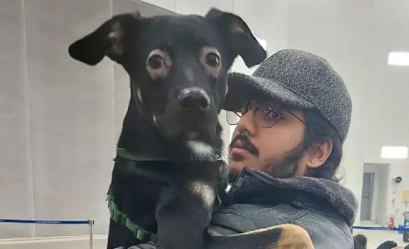 Indian Nationals Evacuated From Ukraine Also Brought Pet Dogs Amid Russian Attack