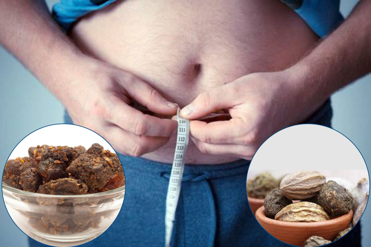 weight loss herbs, natural weight loss herbs, weight loss tips in hindi, weight loss herbs in ayurveda, fat loss herbs, ayurvedic jadi butiyan,