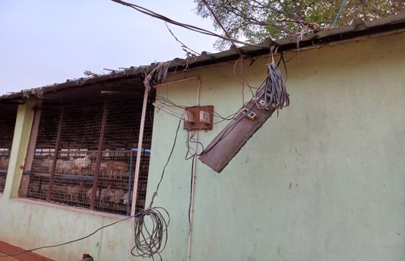 कुकडगरकपाल में संचालित हो रहे  पोल्ट्री फॉर्म में मीटर तक नहीं लगा और उलझे हुए हैं तार