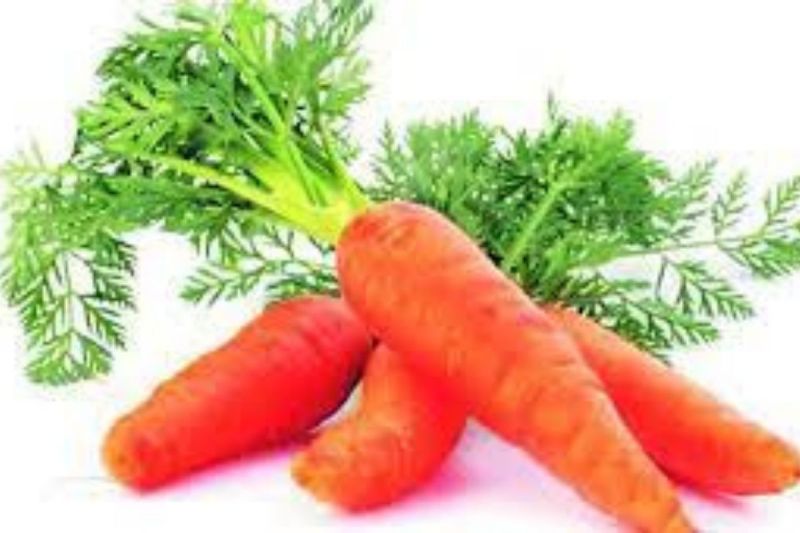 Carrot Leaves, Weight Loss, Skin Disease, Constipation Treatment, Carrot Leaves for Heart