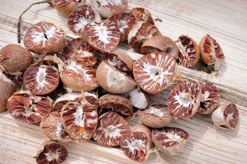 betel nut benefits, side effects of betel nut chewing, betel nut disadvantages, सुपारी खाने के फायदे, सुपारी खाने के नुकसान, health tips in hindi,