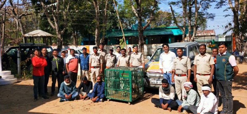 जीवित पेंगोलिन बरामद, 6 तस्कर गिरफ्तार
