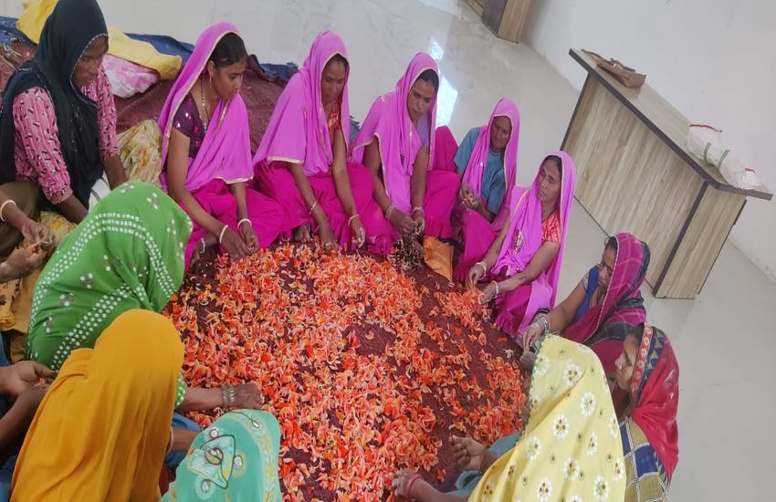 Women made eco friendly gulal for Holi, skin will not be spoiled
