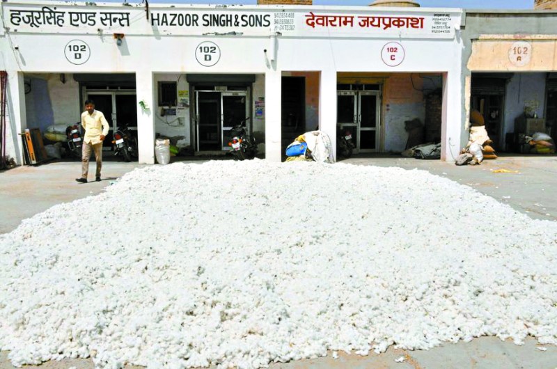 gold and silver: सोना चांदी स्थिर, नरमा इकलौती दस हजारी जिंस