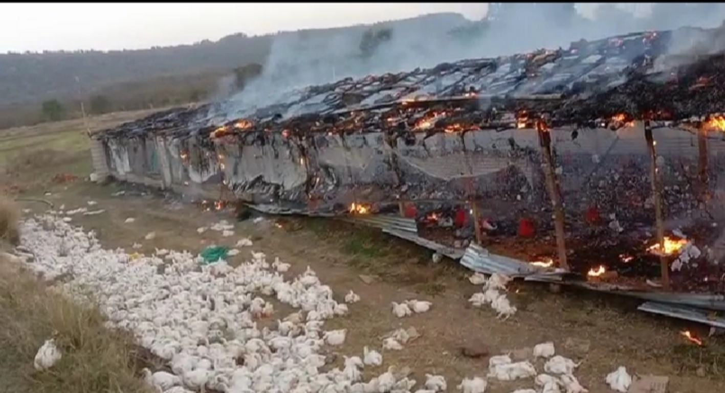 Poultry farm fire, was doing poultry farming by building it on leased land