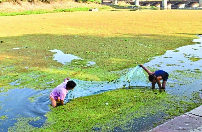 प्रशासन नहीं चेता तो एक सप्ताह बाद हम चोरघाट नाले को मुरम-मिट्टी से पूर देंगे