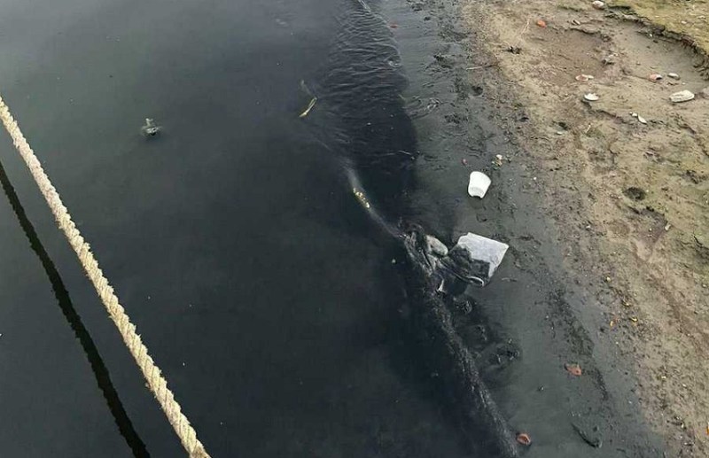 मां गंगा का जल फिर काला पड़ा