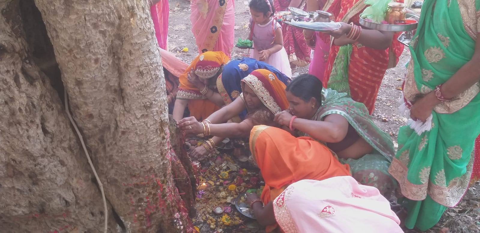 Dashmata पीपल की पूजा, सुनी दशामाता की कथा