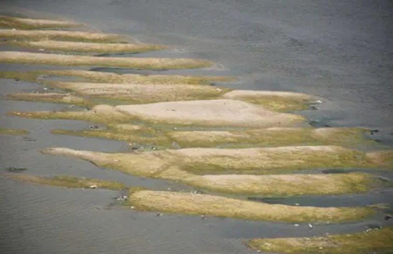 मार्च महीने में ही काशी में गंगा में दिखने लगी रेत