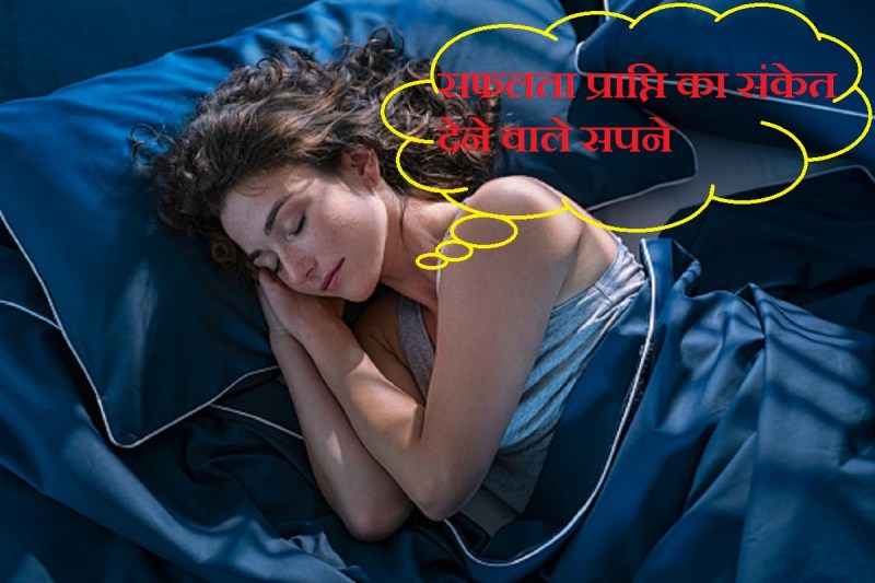 swapna shastra in hindi, dream interpretation, dream interpretation garbage, swapna shastra book, सफलता के सपने, धन, करियर, नौकरी, व्यापार, कूड़ा-कचरा, बुजुर्गों का आशीर्वाद, स्वप्न शास्त्र,