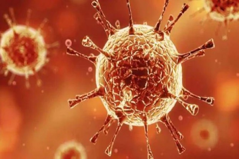 Covid 19 Variant XE Appears 10 Time More Contagious Than Omicron BA.2 Says WHO