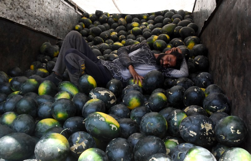 Watermelon # Tarbuj #गर्मी में तरबूज से राहत