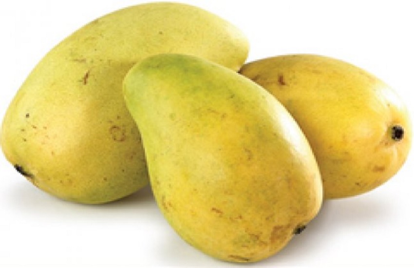 अब रूसी जनता को भी लुभाएगा बनारसी लंगड़ा आम | Now lame mangoes of Banaras  will be exported to Russia too | Patrika News