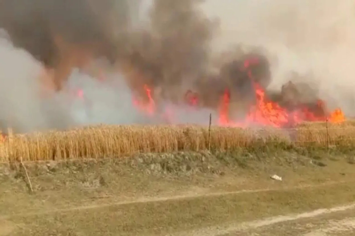 150 Acres of Land of Nearly Two Dozen Farmers Spoiled in Firebreakout