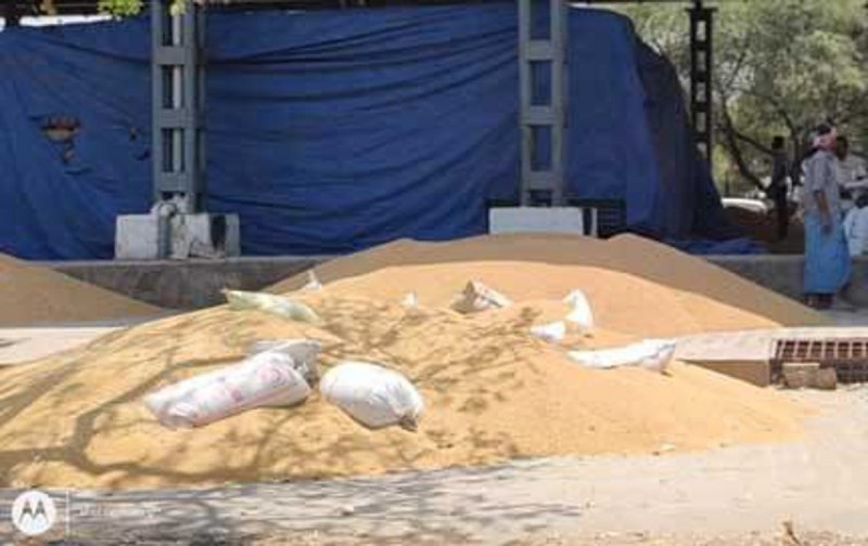 सरकार कम पैसा दे रही तो व्यापारी के पास पहुंच गए किसान