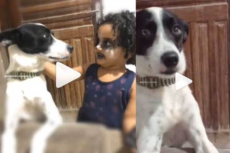 अपने डॉग की तरह दिखने के लिए इस बच्ची ने किया ऐसा काम, मासूमियत पर आ जाएगा दिल, देखे वीडियो