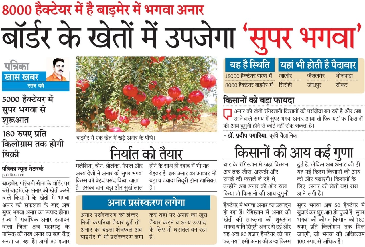 border पश्चिमी बॉर्डर के खेतों में अब उपजेगा सुपर भगवा