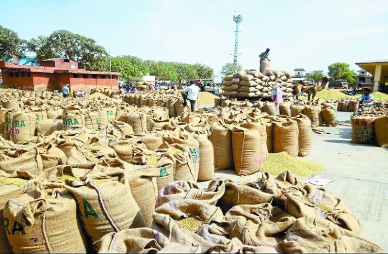 धनिया के भाव में रेकॉर्ड तेजी