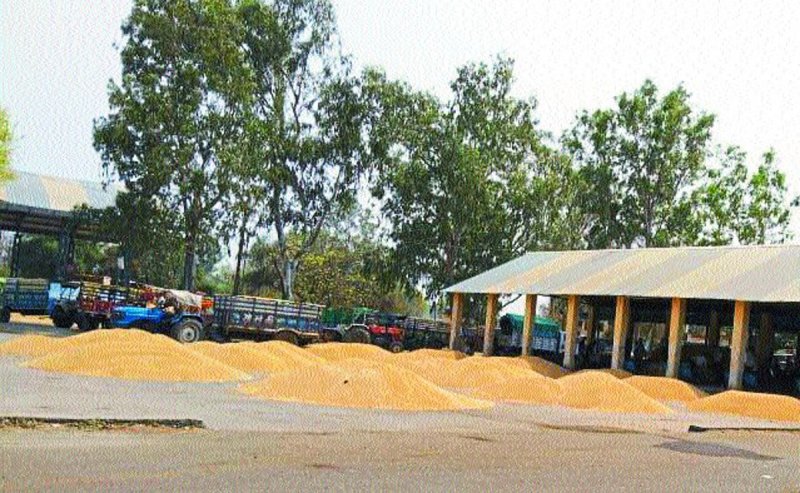 कई सालों बाद रिकार्ड तोड़ मिले भाव, दो लाख नकद भी मिल रहा