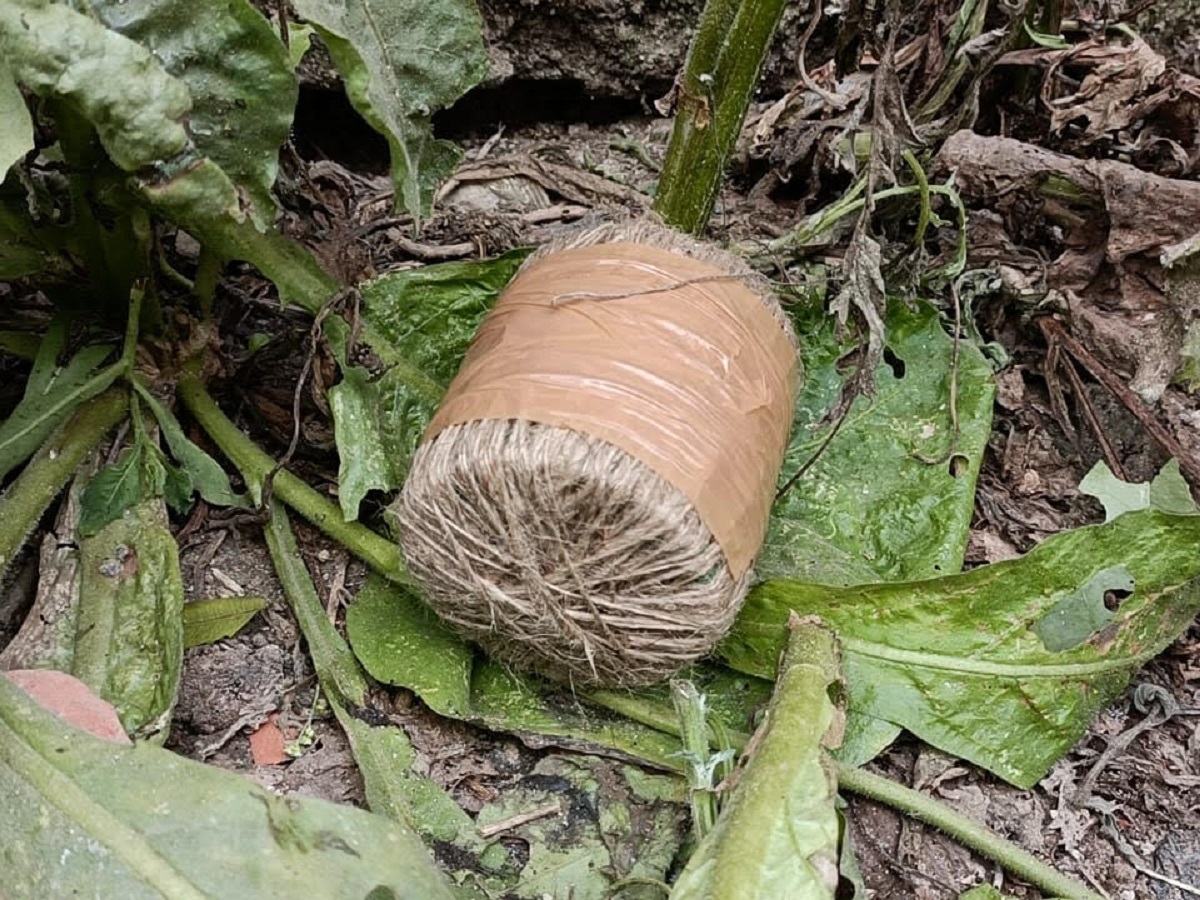 भागलपुर में बरामद हुए 4 बम, पुलिस ट्रेनिंग कैंप के पास मिलने से उठने लगे सुरक्षा व्यवस्था पर सवाल