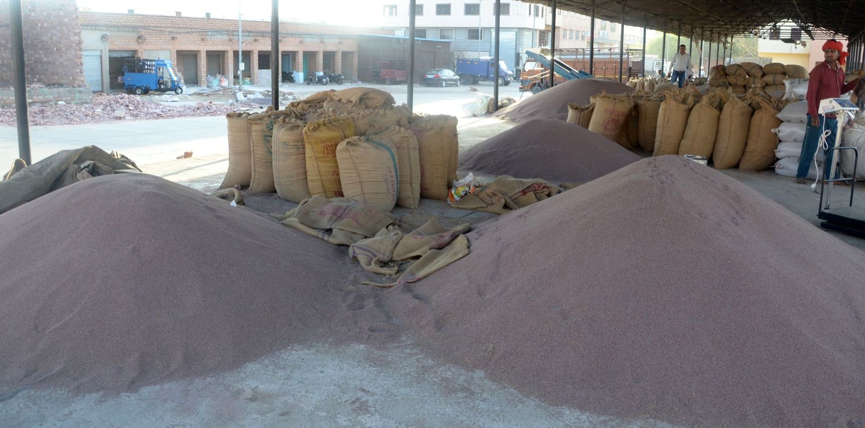 Cumin and Isabgol - जीरे के साथ ईसबगोल बना रहा रिकॉर्ड, मंडी में बम्पर आवक