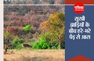Mausam: खरगोन में फिर पारा 44 पर