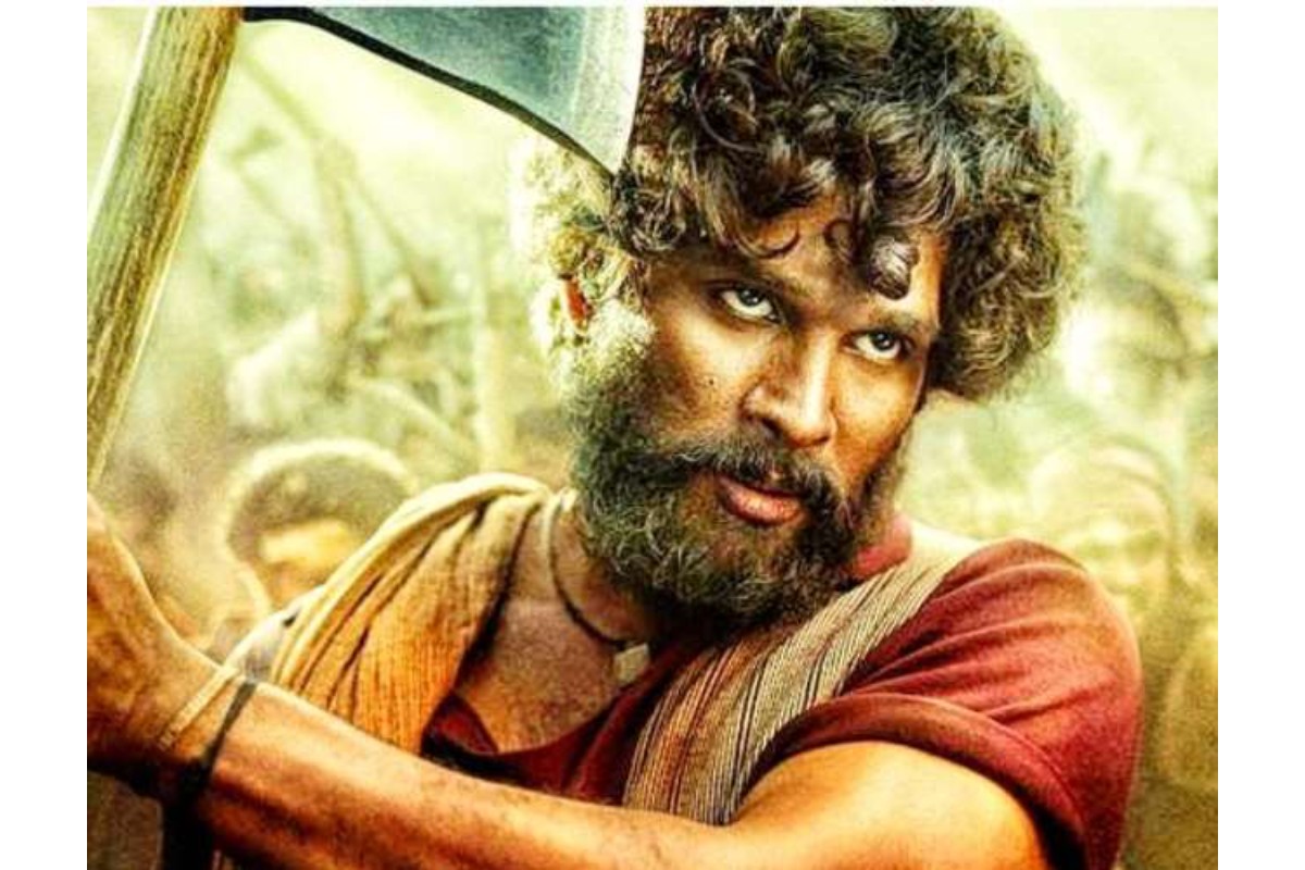 allu arjun birthday acting career hit film net worth income