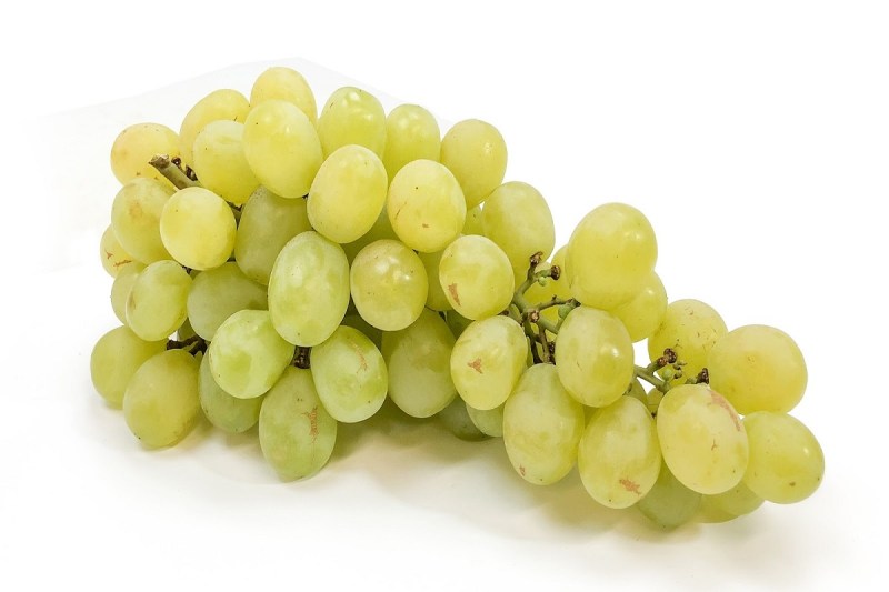 Benefits of Grapes: अंगूर खाने के है ये 5 जबरदस्त फायदे, जिसे जानकर आप रह जाएंगे हैरान