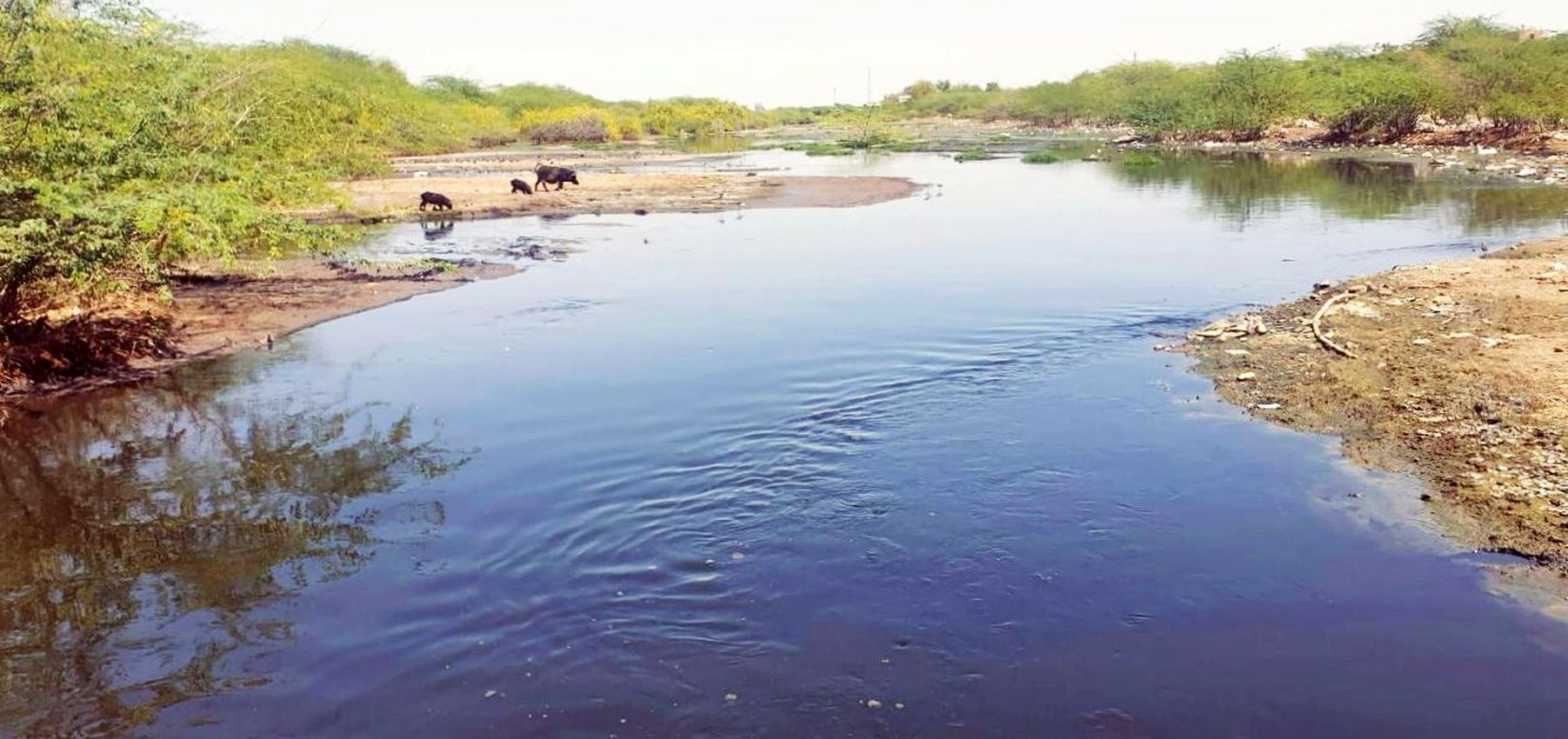 Waste water Use - कपड़ा इकाइयों से निकलने वाले गंदे पानी का होगा इस्तेमाल, जाने कैसे...