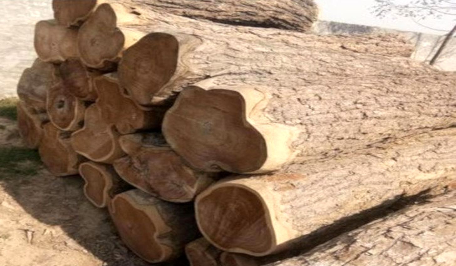 Rosewood Export