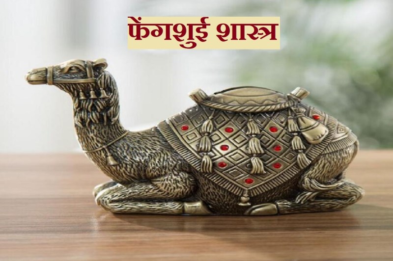 फेंगशुई ऊंट के फायदे, घर और व्यापार में तरक्की, सुख-समृद्धि के लिए फेंगशुई ऊंट, धन प्राप्ति, कहां रखें फेंगशुई ऊंट, आर्थिक स्थिति बेहतर बनाए, फेंगशुई शस्त्र, वास्तु शास्त्र, feng shui camel direction, feng shui astrology, feng shui tips for career and wealth, feng shui tips for home,