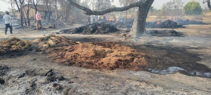 Trees including 16 farmers' crops and houses were burnt