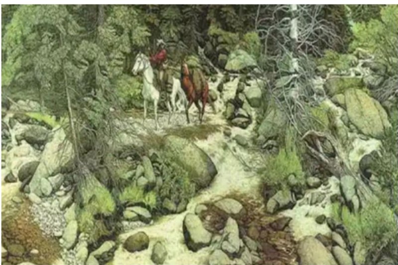 Optical Illusion 13 Faces Hidden In This Picture Know How Many You Saw In The First Time