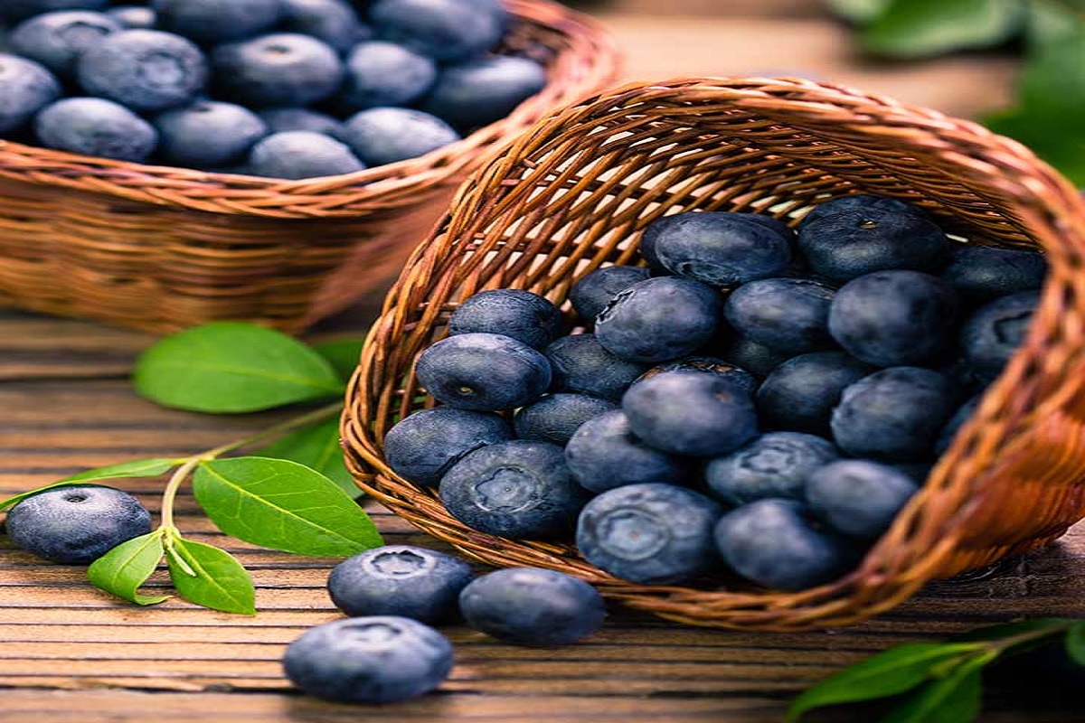 Benefits of Blueberry: जानिए ब्लूबेरी के सेवन करने से मिलते है ये अद्भुत फायदे, दिल से लेकर वजन कम करने में फायदेमंद होता